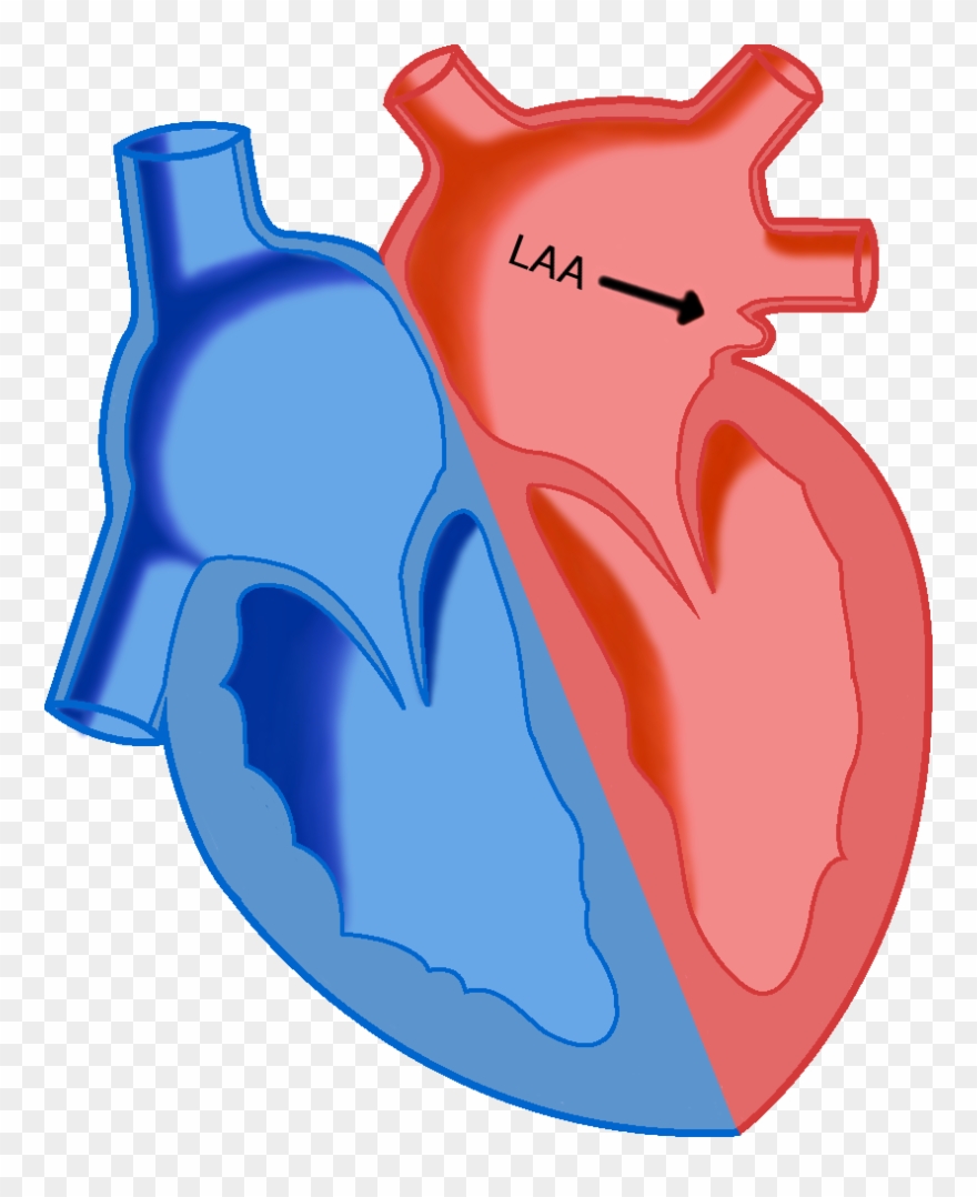 Collection Of Free Appenage - Laa Of The Heart Clipart