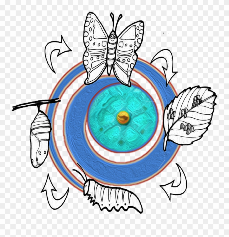 The Promise Of This Live Immersion Is To Provide You - Marsoc Clipart