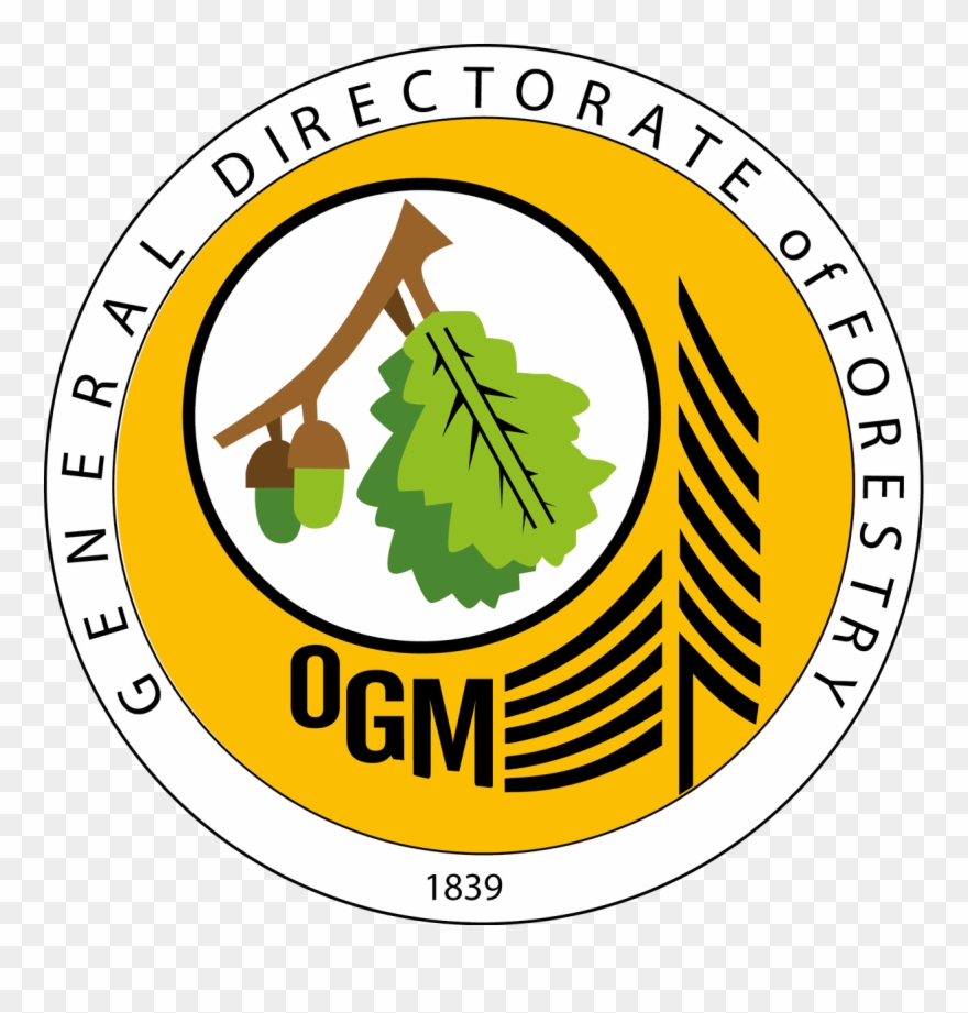 General Directorate Of Forestry Www - Orman Genel Müdürlüğü Clipart