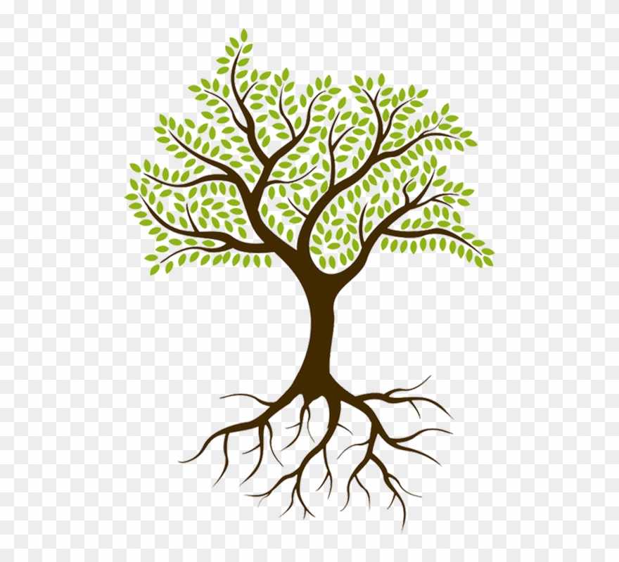 Culture Spark Was Started In 2015 By Sheryl Lyons, - Tree With Roots Png Clipart