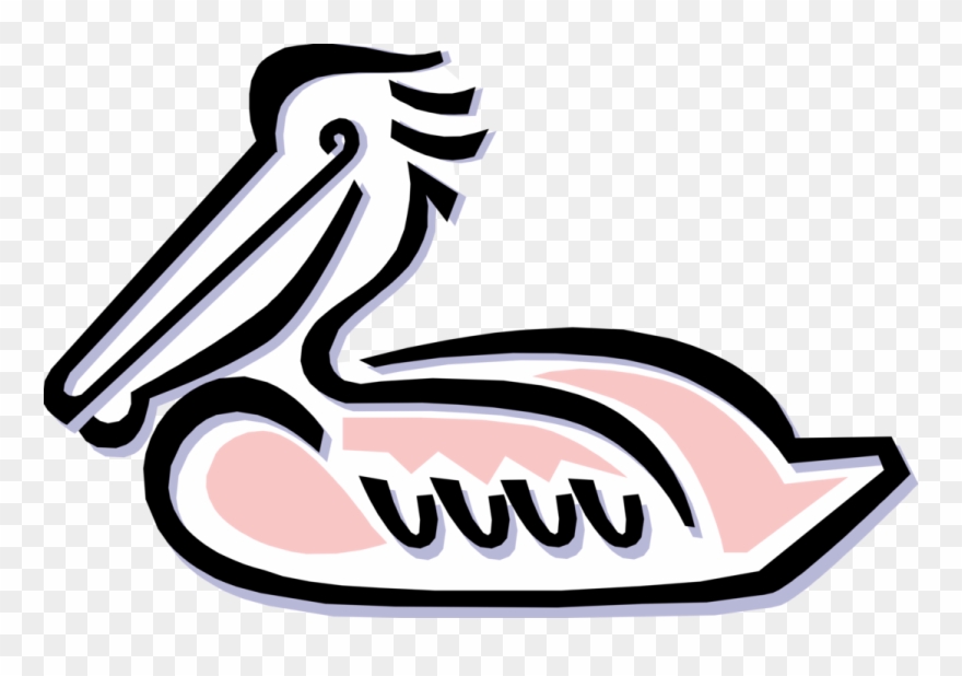Vector Illustration Of Large Water Bird Pelican Clipart