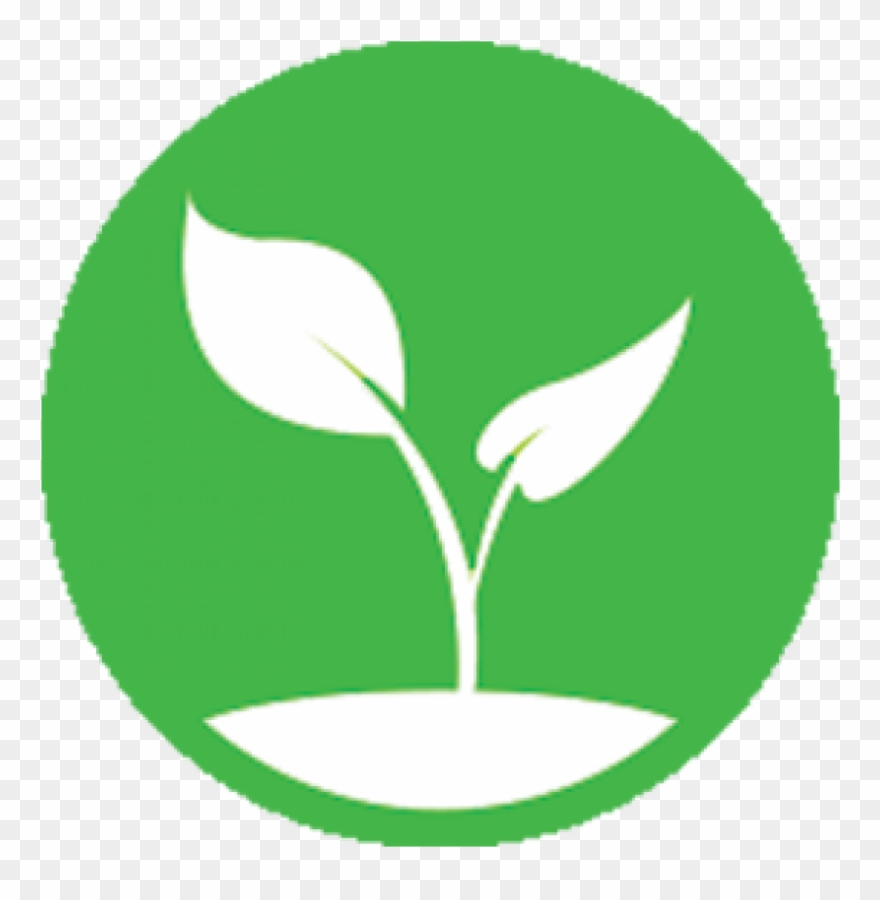 Budgeting Basics Budgeting Basics - Plant Sprout Vector Clipart