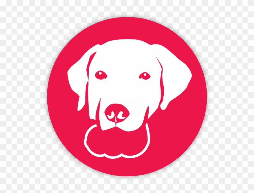 Chew Toy - Kong Company Clipart