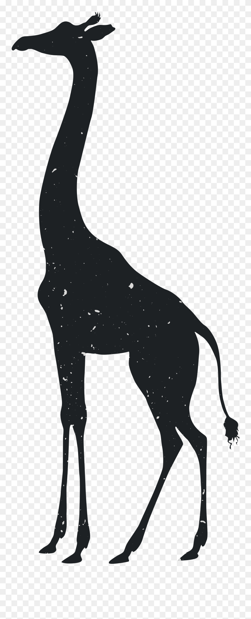 Giraffe Tiger Silhouette Animal Drawing - Giraffes In Transparent Silhouette Clipart