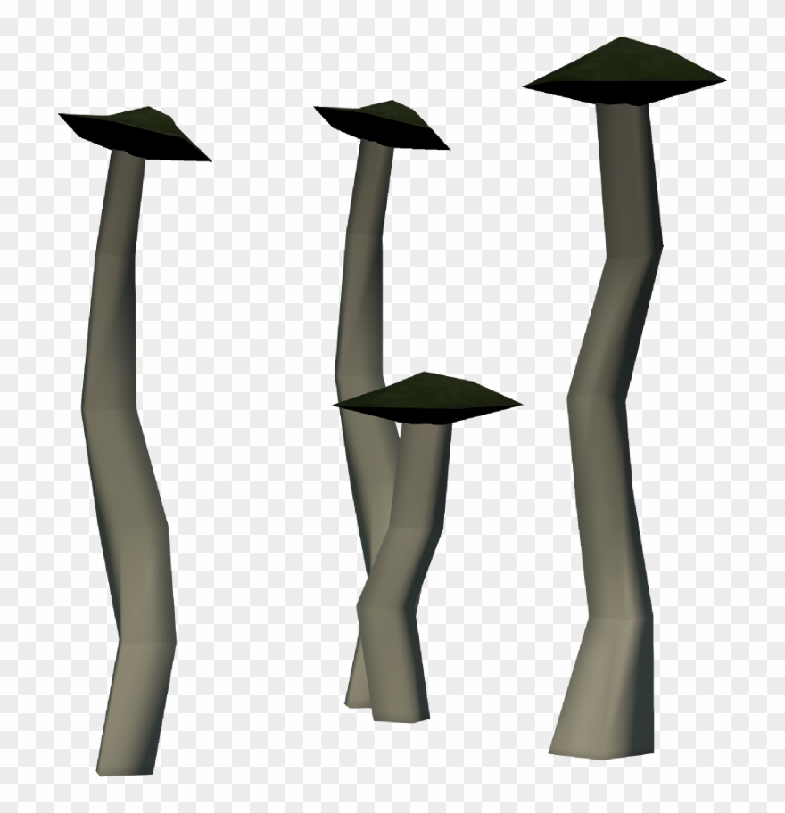 Detailed - Wiki Clipart