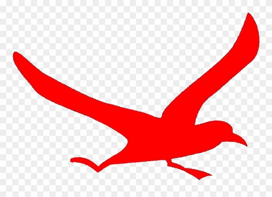 アルバトロス 阪 大 Clipart