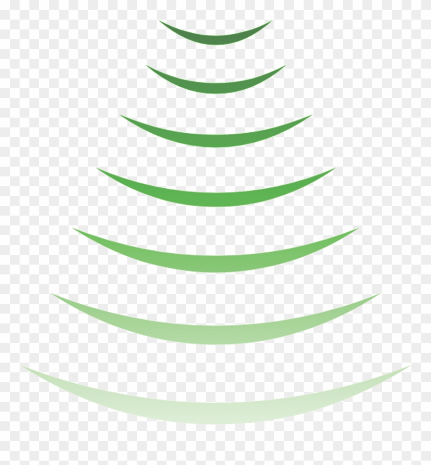 Advanced Water Level Monitoring Using - Colorado Spruce Clipart