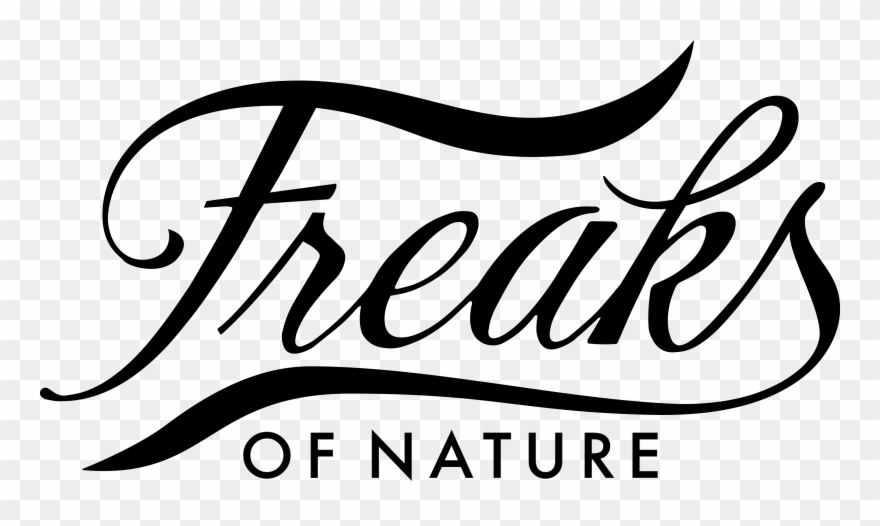 The Allergy & Free From Show - Freaks Of Nature Desserts Clipart
