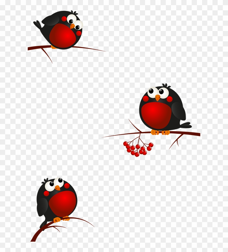 Christmas Bird Clipart