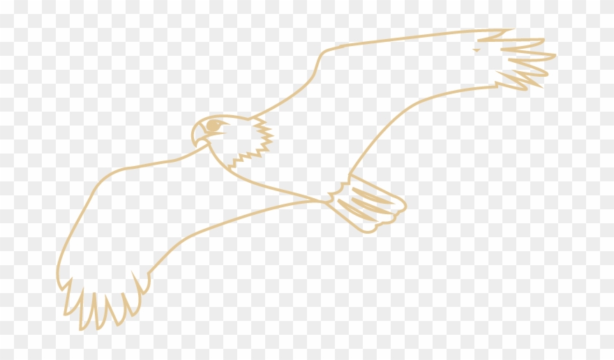 Eagle Clipart
