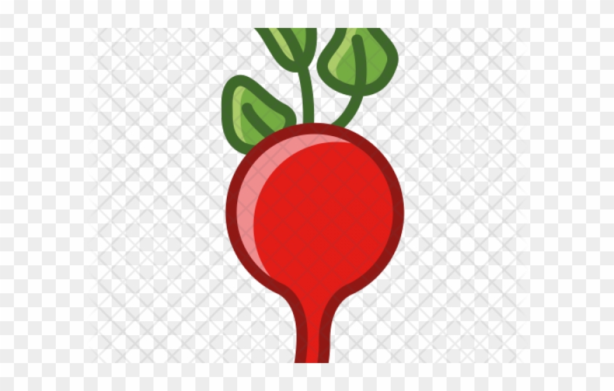 Beet Clipart Radish - Clip Art - Png Download