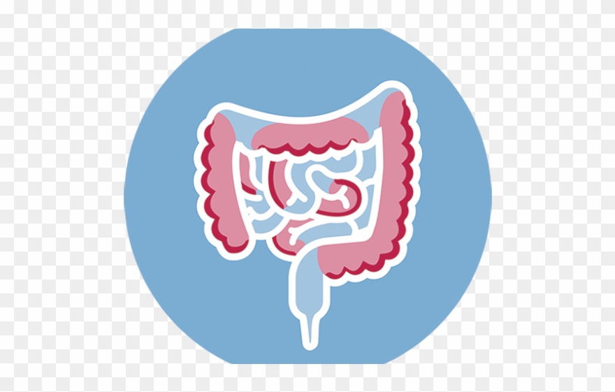 Elemental Clipart Lip - Elemental Diet - Png Download