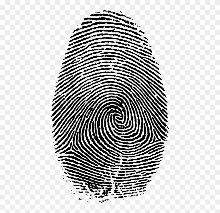 Medium Image - Fingerprint Fibonacci Sequence Clipart