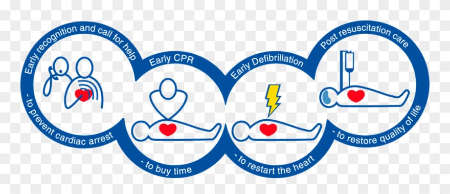 Steven Dykes On Twitter - Als Chain Of Survival Clipart