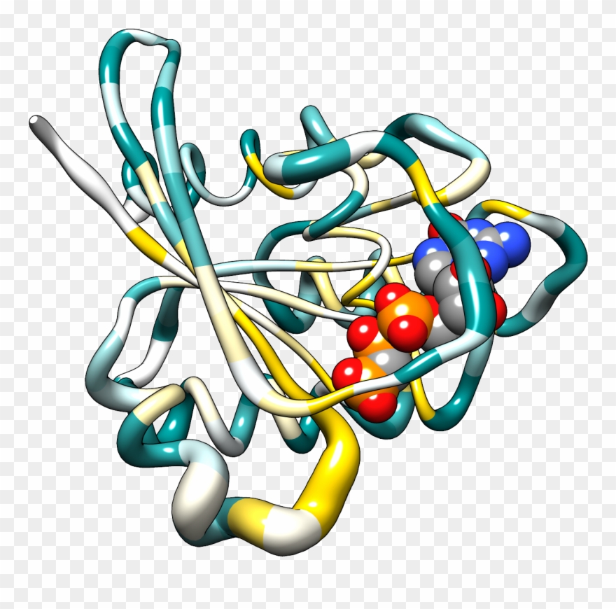 Portable Network Graphics Clipart