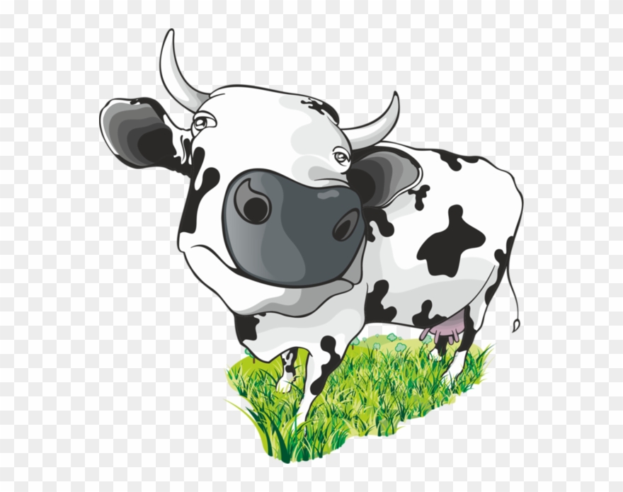 Vache - Cattle Clipart