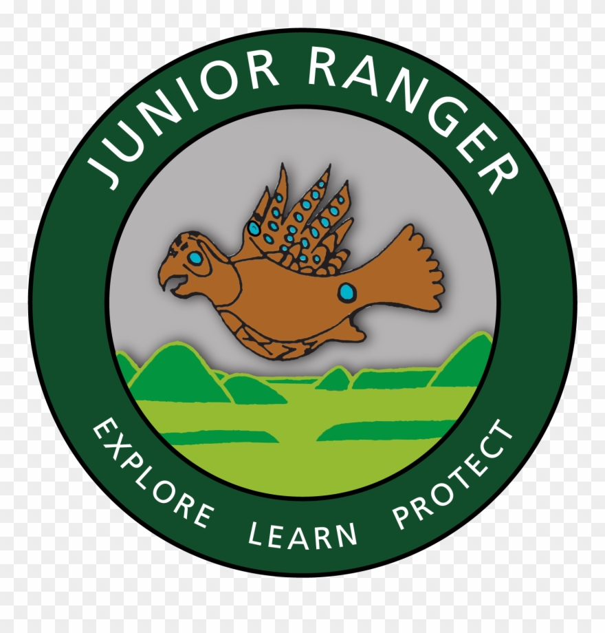 Caricature Artwork Of Copper Bird On Top Of Junior Clipart