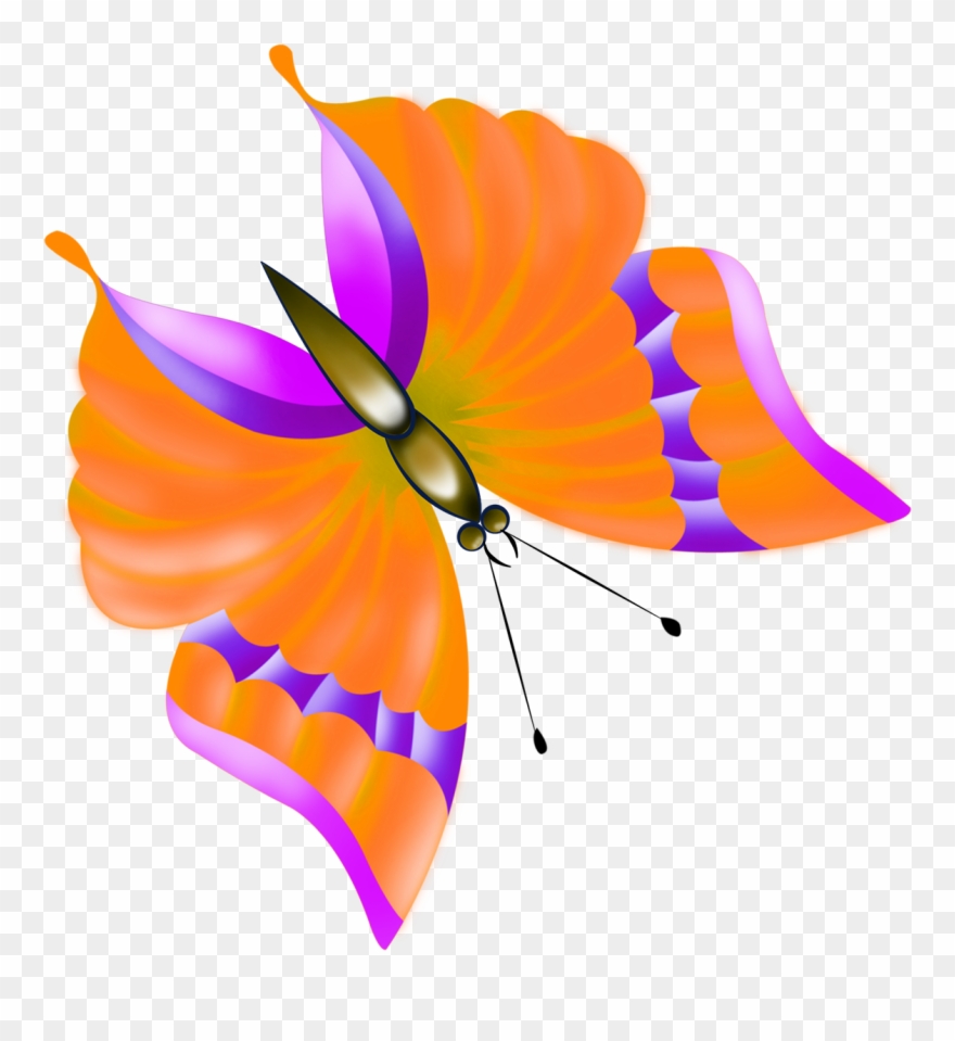 Butterfly Clip Art, Orange Butterfly, Butterfly Images, - Clip Art - Png Download