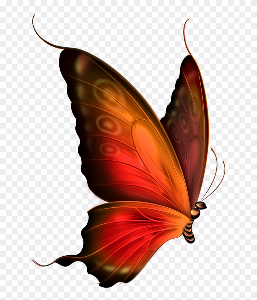 Mariposas Para Dibujar A Lapiz - Red Butterfly Png Transparent Clipart