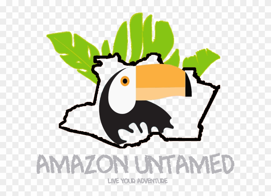 Amazona Untamed Amazona Untamed - The Araca Group Clipart