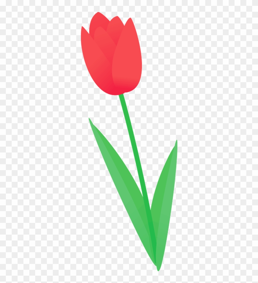407 チューリップ - - Tulip Clipart