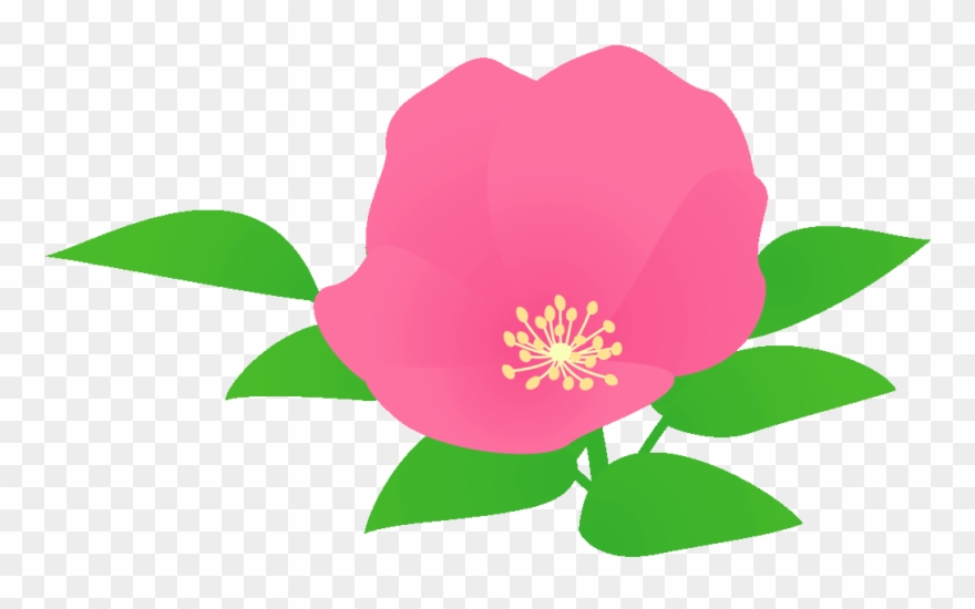 484 浜茄子／ハマ - - フリー 素材 花 ハマナス Clipart