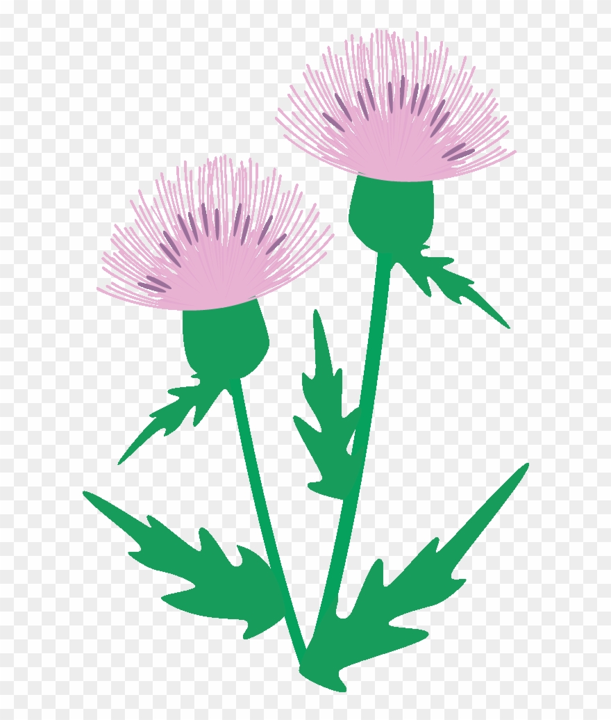 2018年06月20日 - Illustration Clipart