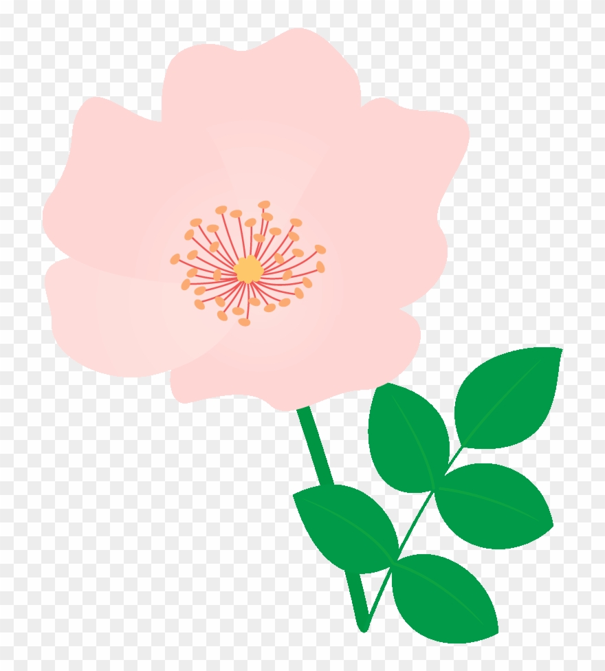 515 薔薇（デンテ - - Rose Clipart