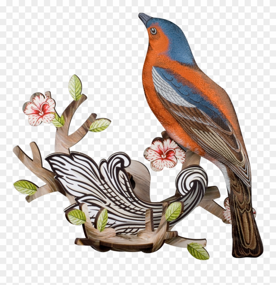 Finch Png Clipart - Miho Vogel - My Nest Transparent Png