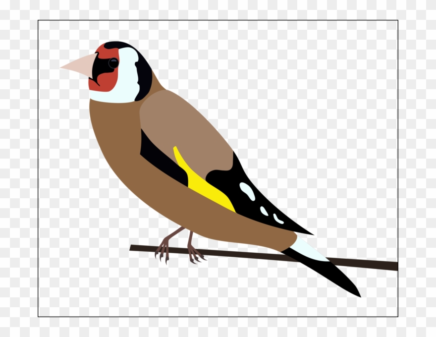 Mr Finch Mr Finch - Finch Clipart