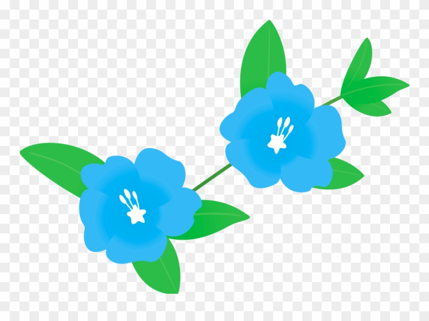 438 アメリカンブ - - Gentiana Clipart