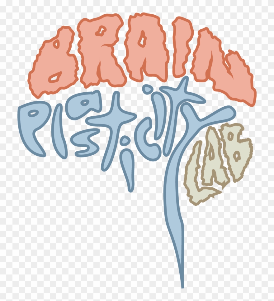 Bpl Logo Nooutline Clear , 18 May 2017 - Brain Plasticity Logo Clipart