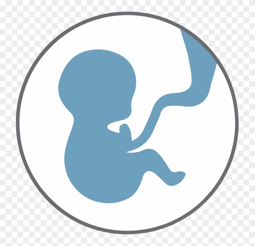 Donor And The Recipient Are Only Partially Matched, - Implant Clipart