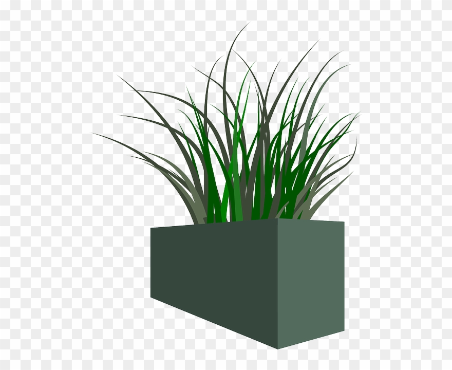 Pot, Grass, Plant, Weeds Unkraut, Gras, Clipart, Pflanze - Grass In A Pot Png Transparent Png