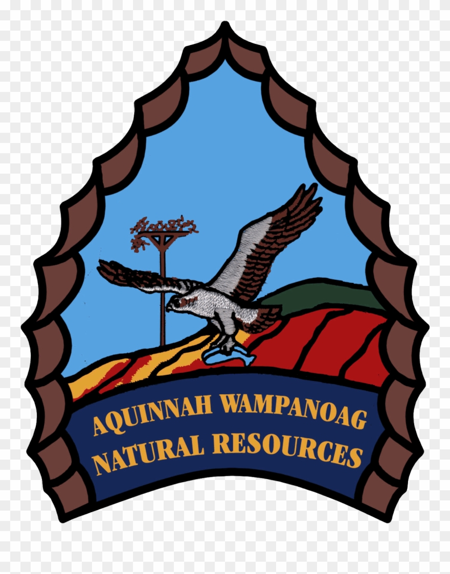 Wampanoag Aquinnah Natural Resources - Wampanoag Clipart