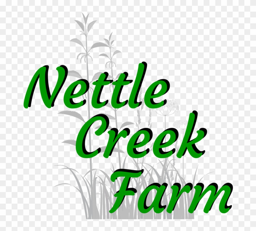 Nettle Creek Farm - Nettles Clipart