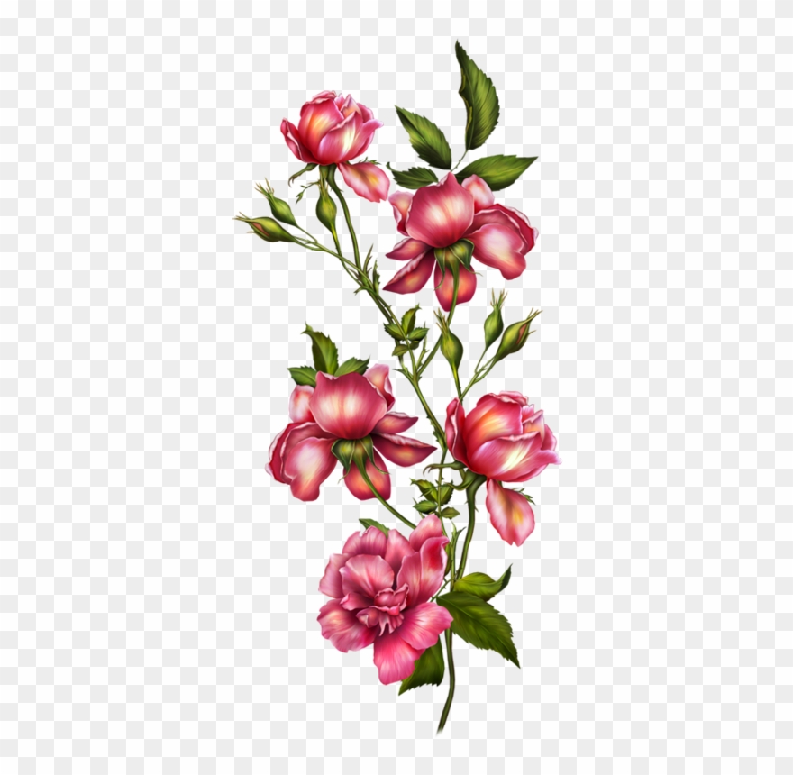 Leaf Flowers, Botanical Flowers, Botanical Art, Vintage - 1art1 Flowers Poster Photo Wallpaper - Romantic Roses Clipart