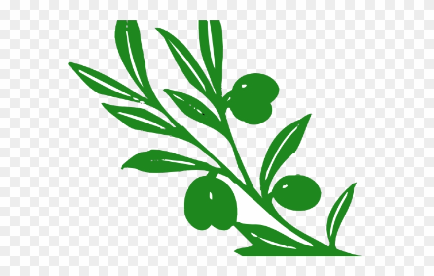 Vines Clipart Olive Green - Olive Tree Branch - Png Download