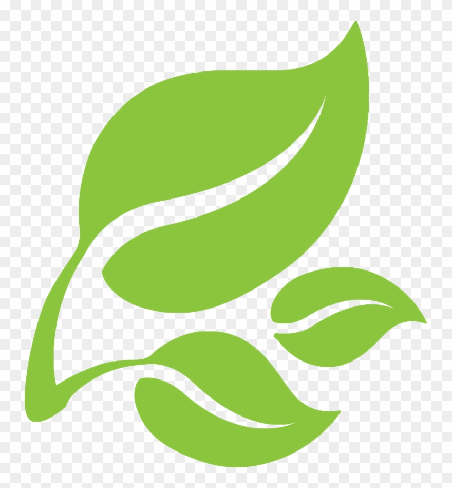 Leaf - Leaf For Logo Png Clipart