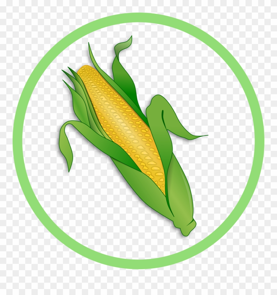 Mais Corn - Maize Clipart