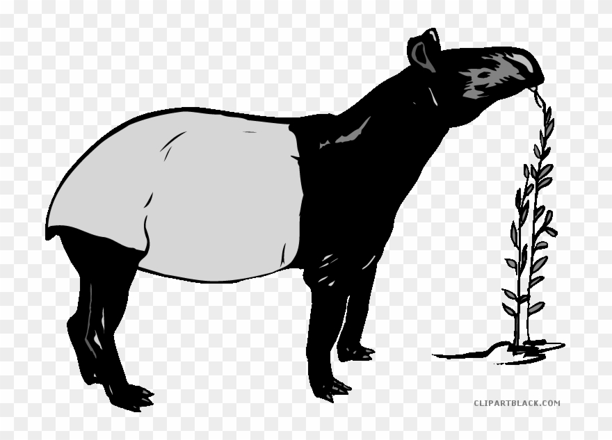 Capybara Clipart Black And White - Capybara - Png Download
