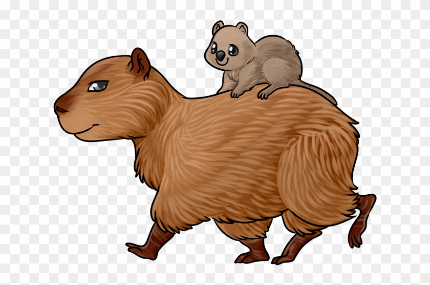 Capybara Clipart Transparent - Drawing - Png Download