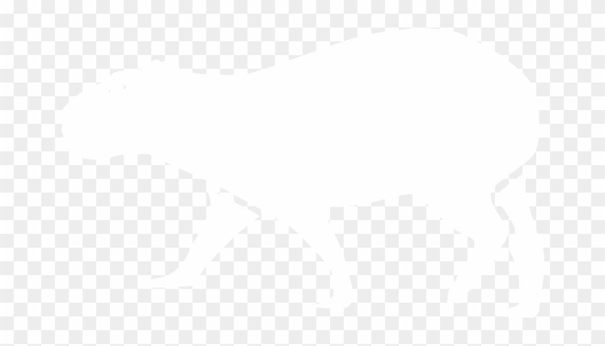 Capybara Software Ug - Software Clipart