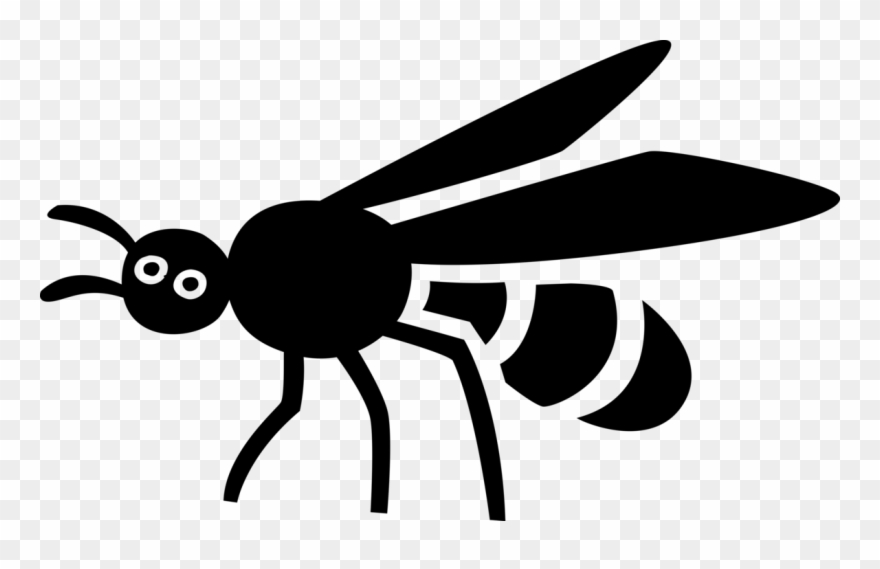 Stinging Wasp Insect Image - Insect Clipart