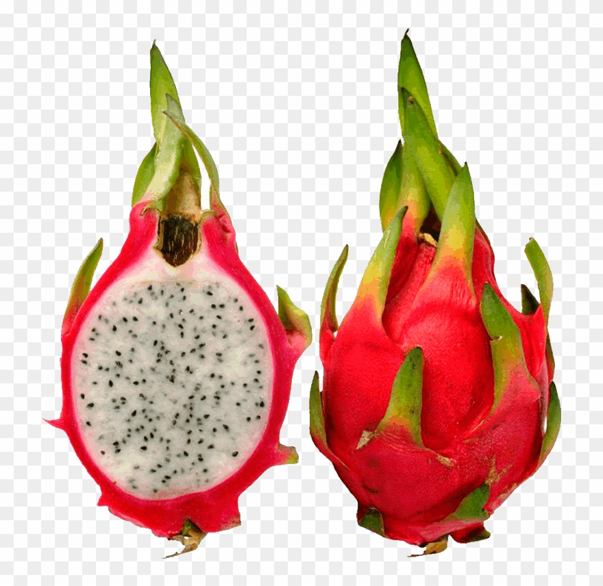 Pitaya Fruit Images Dragon Fruit Pictures Clip Art - Frutas Exoticas B - Png Download