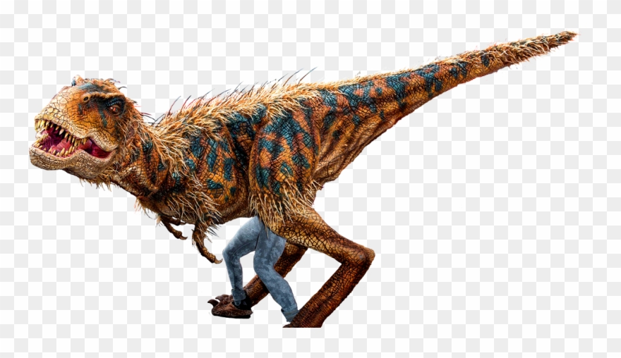 Image Download Kid S Parties Real Home - Velociraptor Real Clipart