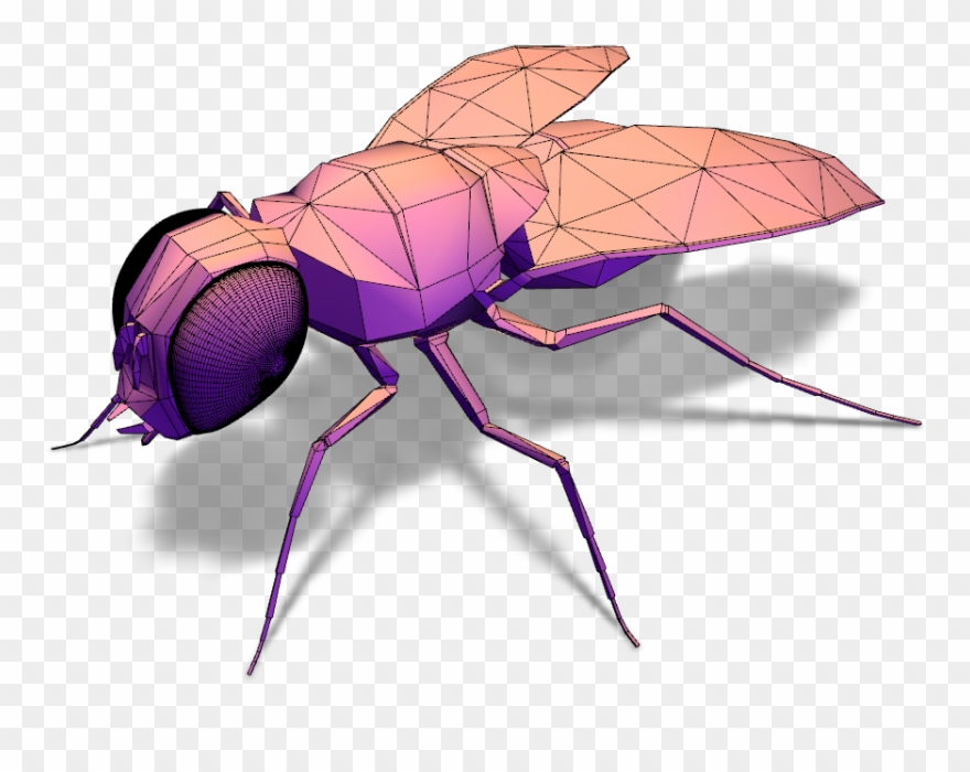 Fly - February 1 Clipart