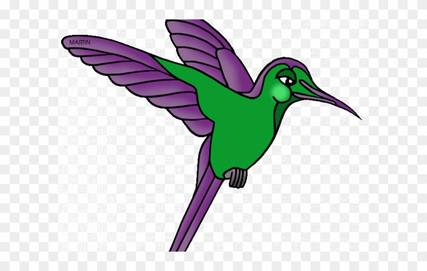 Hummingbird Clipart Clip Art - Amazon Rainforest Animals Transparent - Png Download