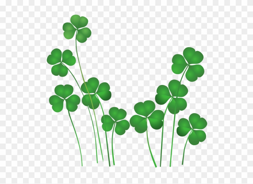 Patrick's Day Weekend - National Flower Of United Kingdom Clipart