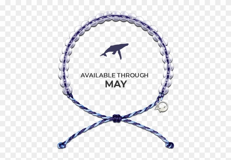 4ocean Whale Bracelet Clipart
